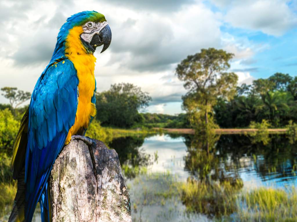 Culturele Rondreis Brazilie 16