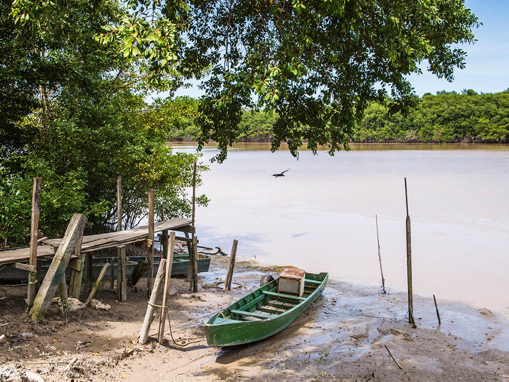 Fly en Drive in Switi Suriname Rondreis 12