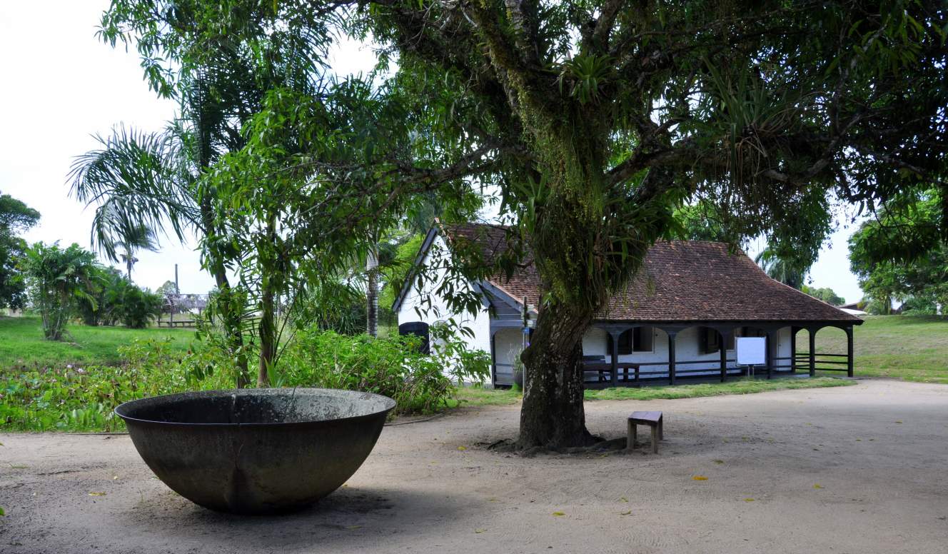 Suriname Oost-Zuid-West Rondreis  7