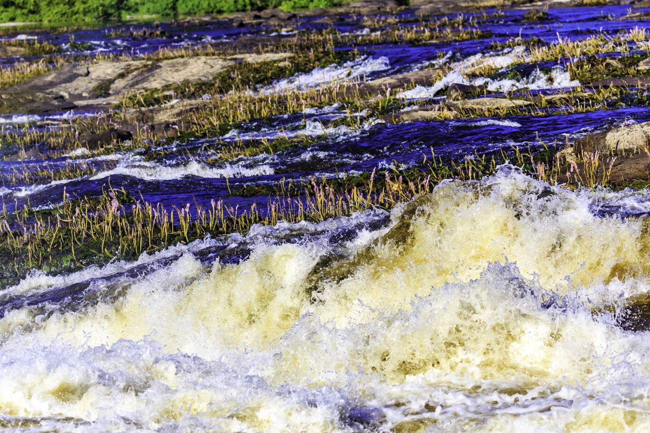 The Art of Survival Suriname Rondreis 6